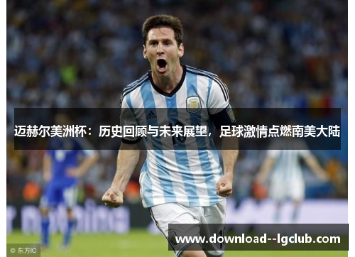 迈赫尔美洲杯：历史回顾与未来展望，足球激情点燃南美大陆